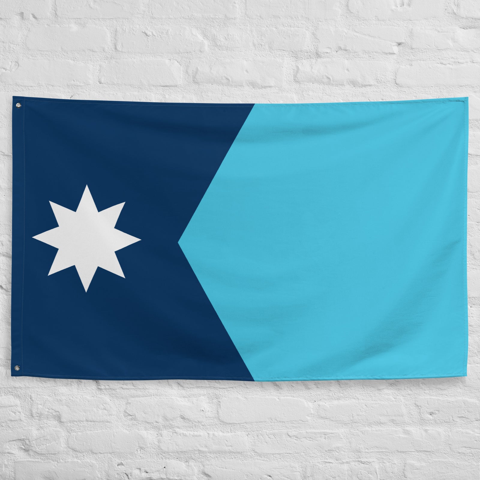 Minnesota State Flag