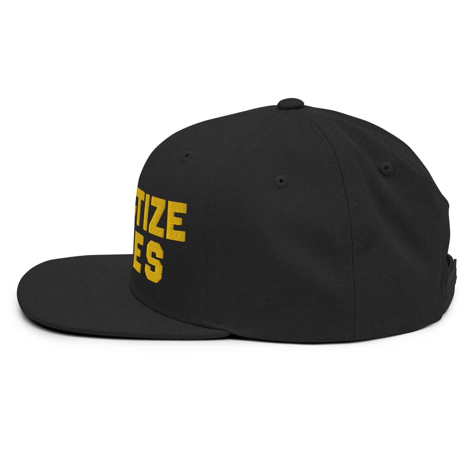 Privatize Nukes Snapback Hat