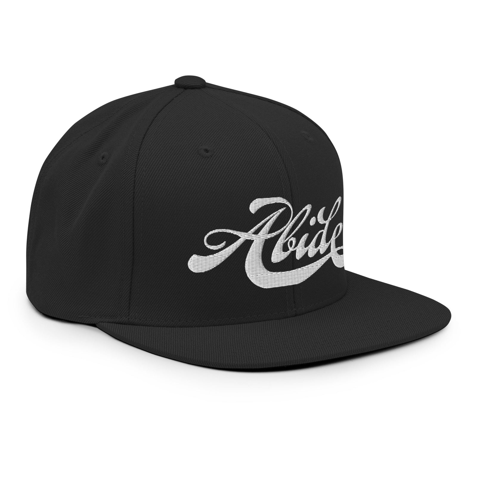 Abide Snapback Baseball Cap
