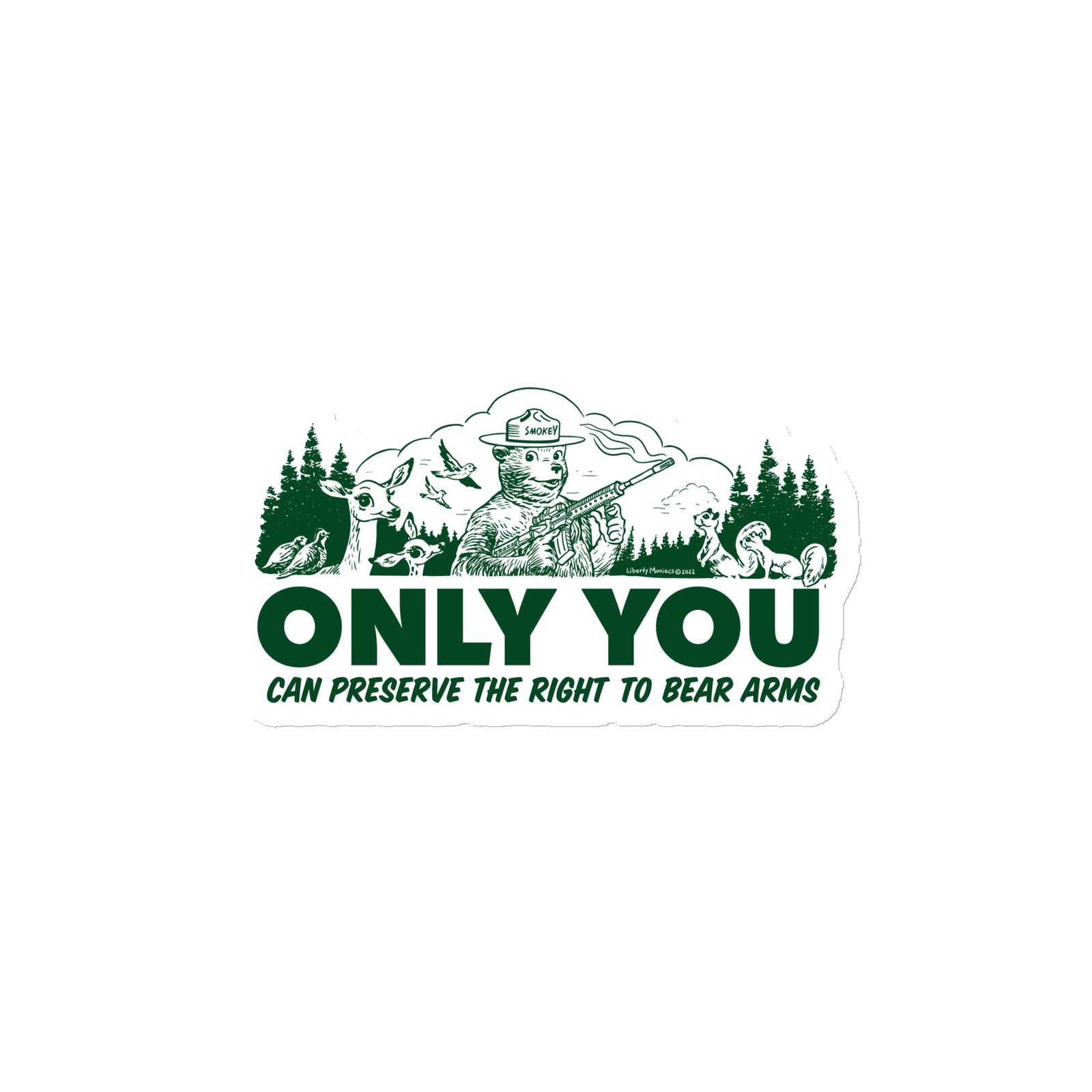 Only You Can Preserve the Right To Bear Arms Magnet