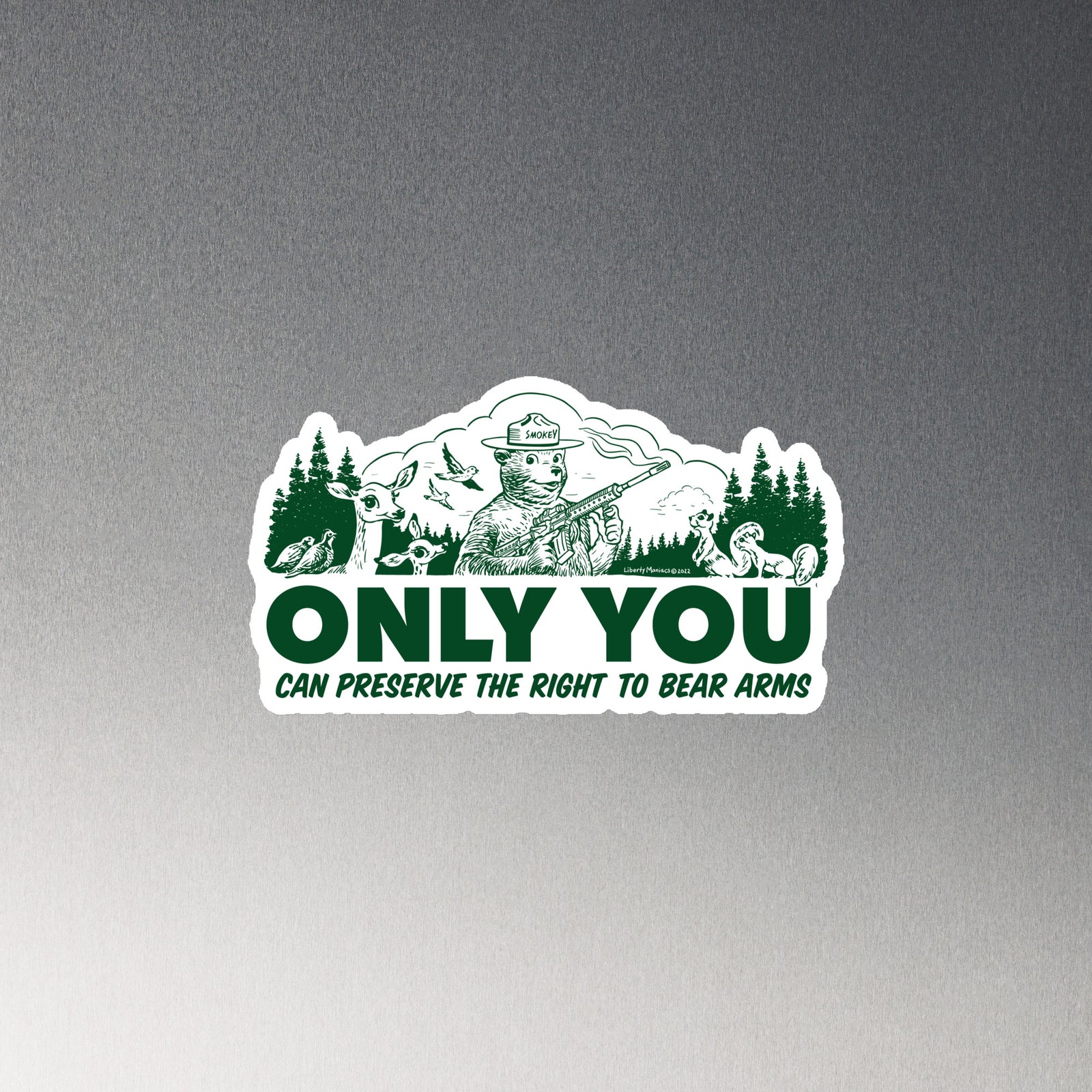 Only You Can Preserve the Right To Bear Arms Magnet