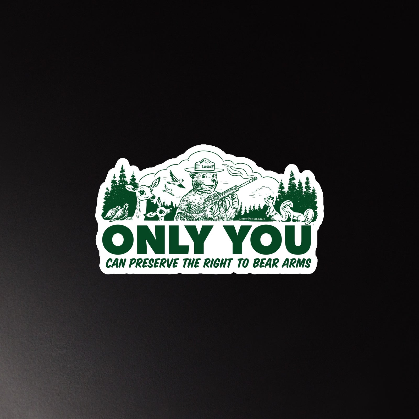 Only You Can Preserve the Right To Bear Arms Magnet