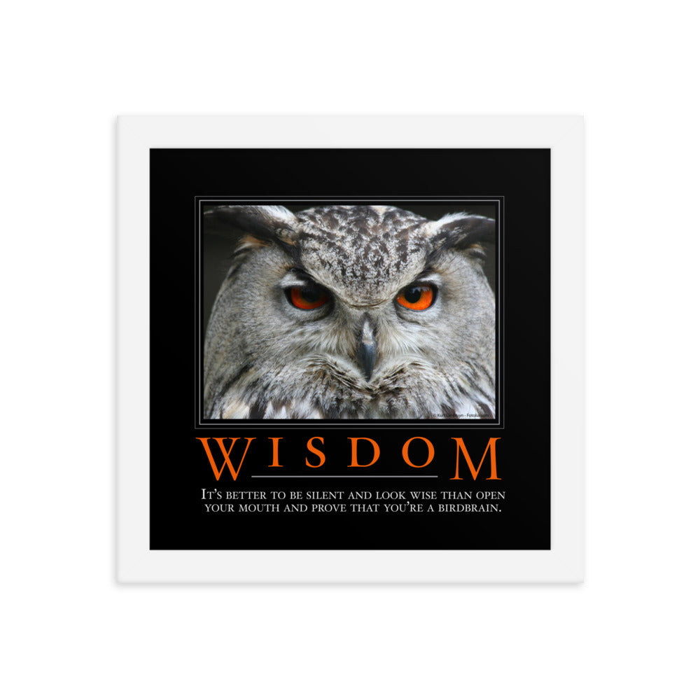 Wisdom Demotivational Framed poster