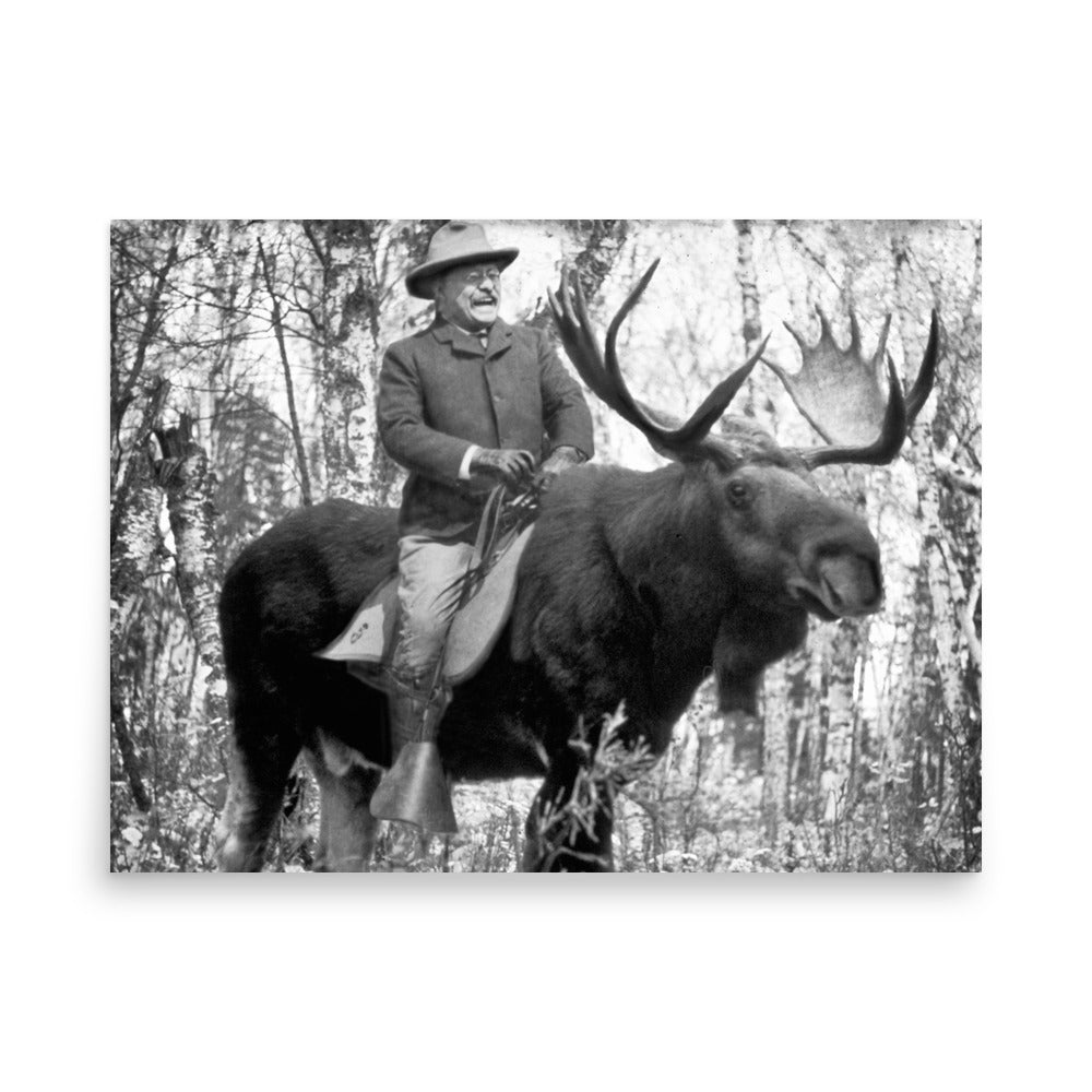 Teddy Roosevelt Riding A Bull Moose Posters