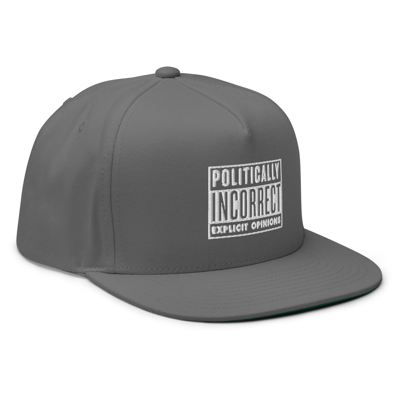 Politically Incorrect Warning Flat Bill Cap