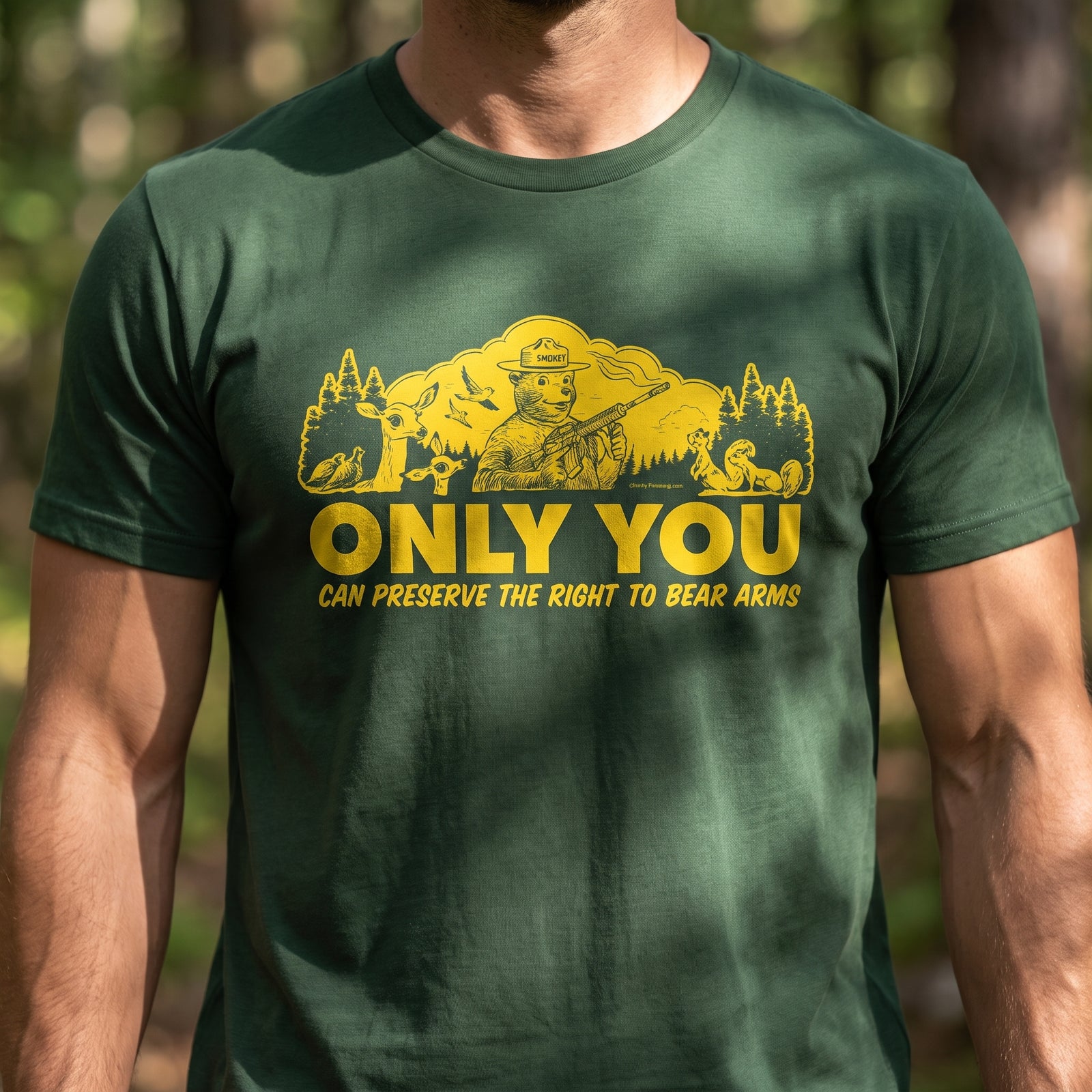 Only You Can Preserve the Right to Bear Arms Retro Smokey T-Shirt