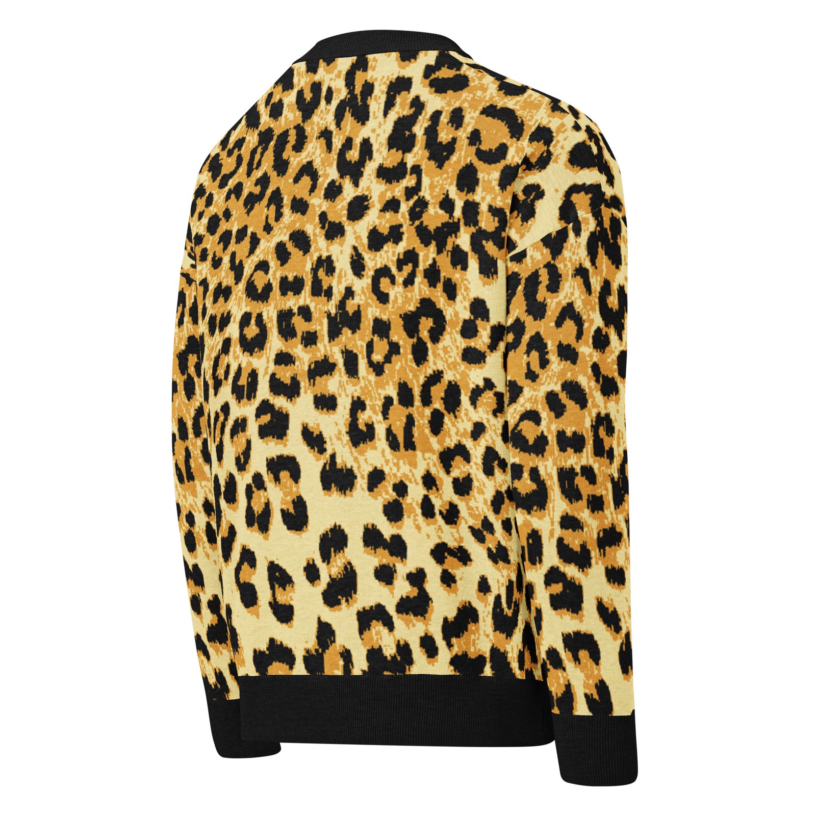 Leopard print jacket on a white background