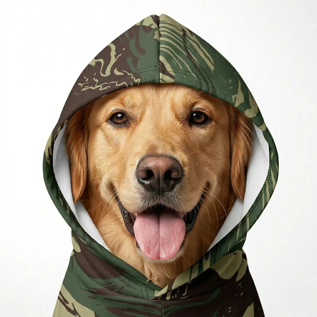 Dog wearing a camouflage hoodie on a white background