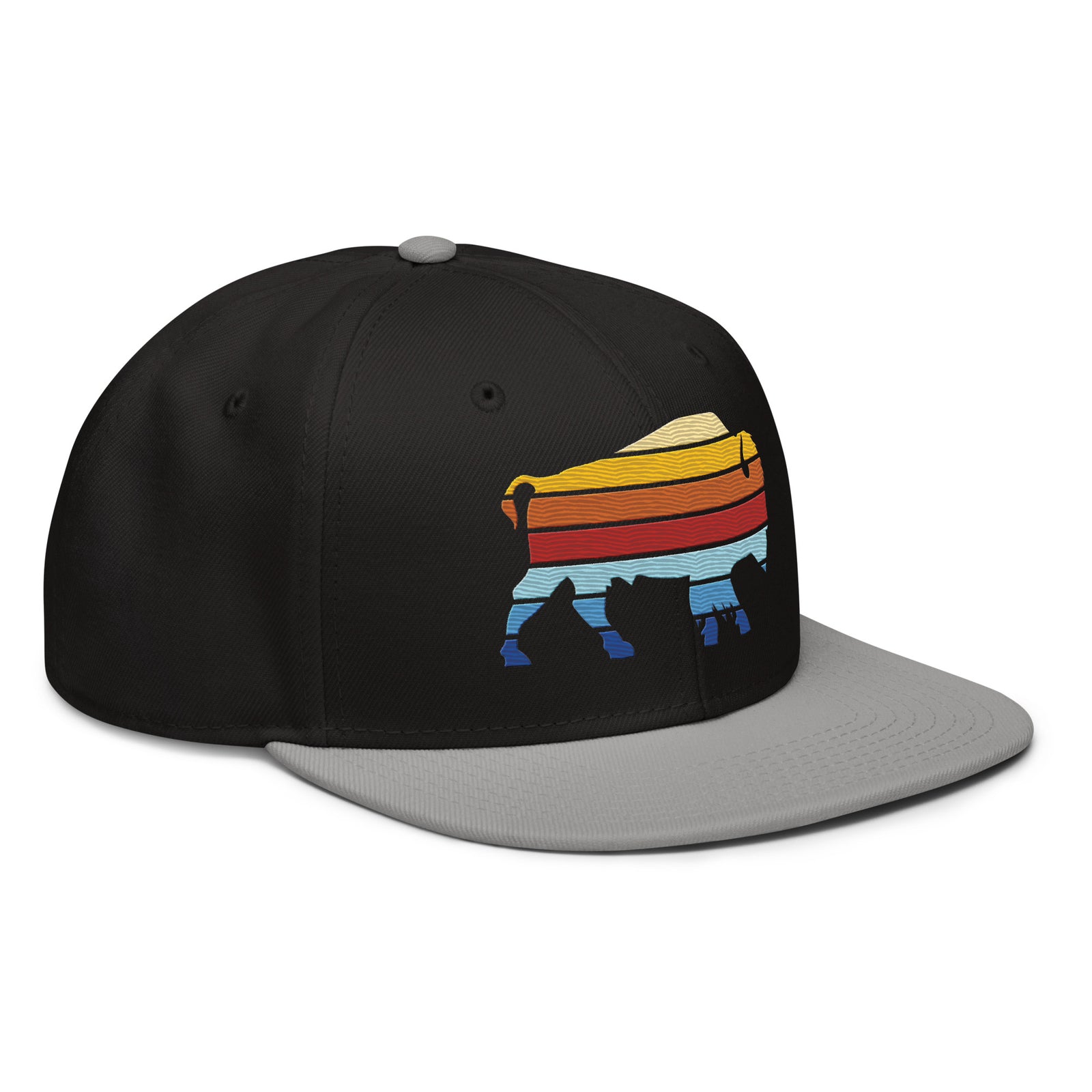 Bison Color Stack Snapback Hat