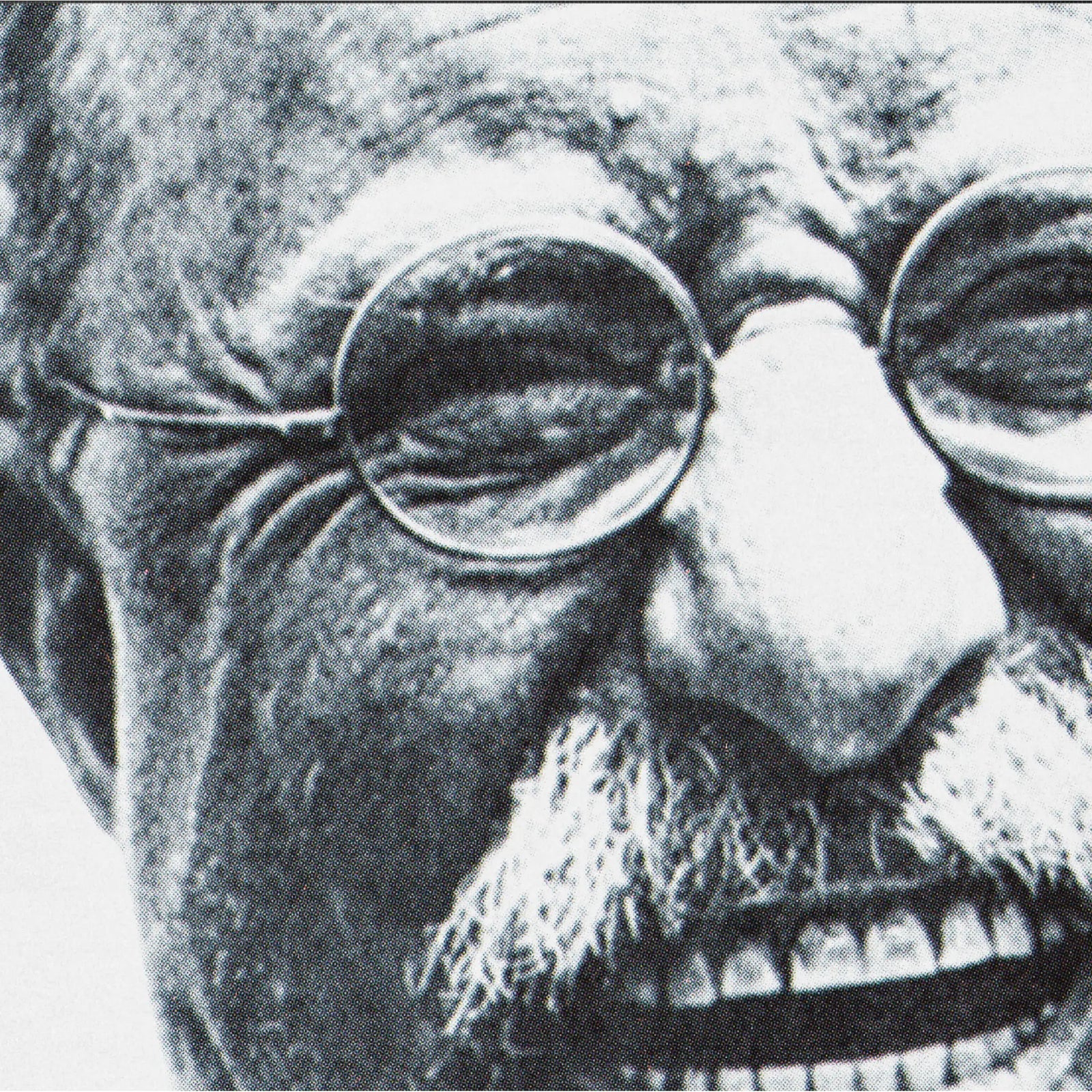 Black and white close-up portrait of an Teddy Roosevelt wearing round wire-frame eyeglasses, with a mustache and wrinkled facial features.