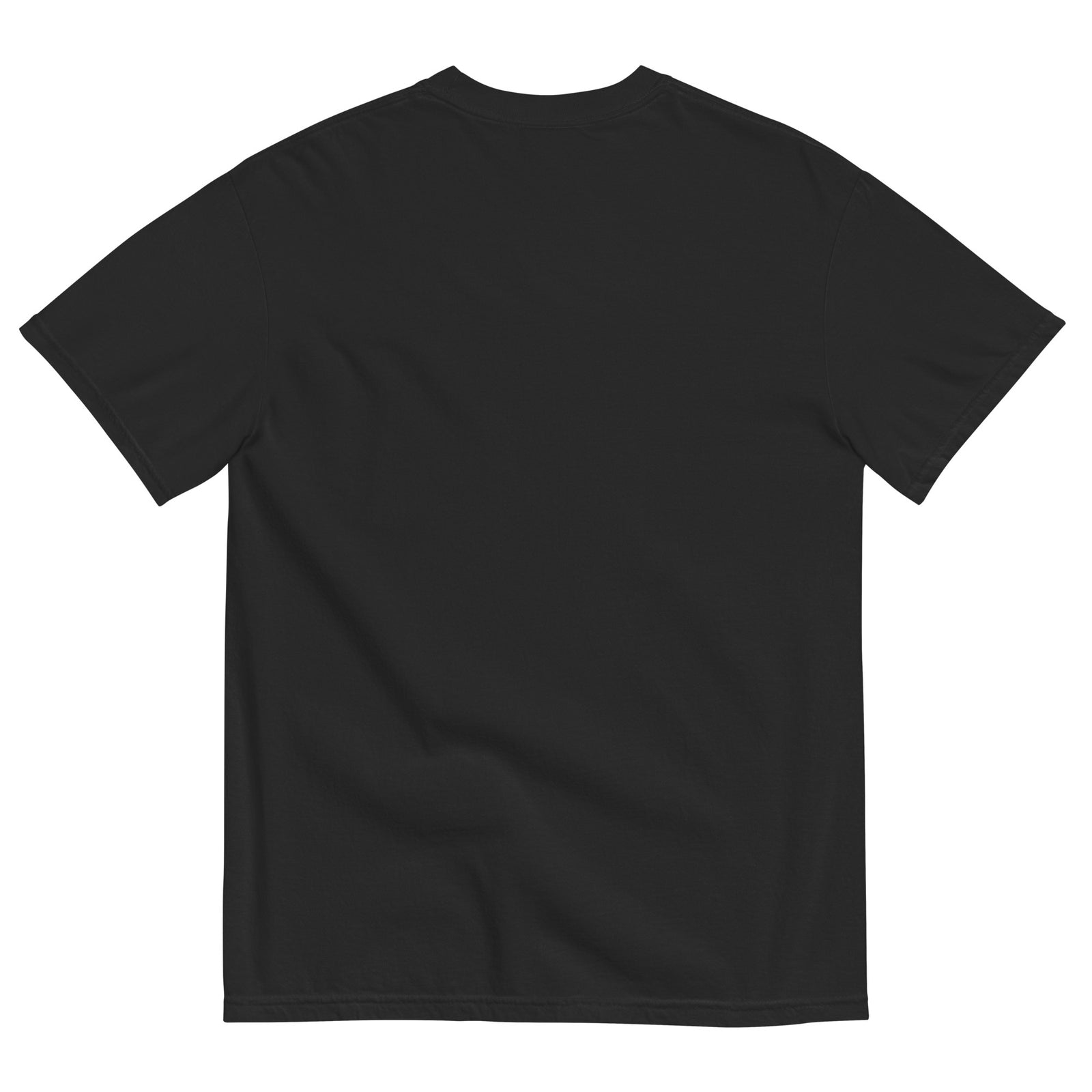 Back view of the black garment-dyed Social Media Is a Psyop T-shirt