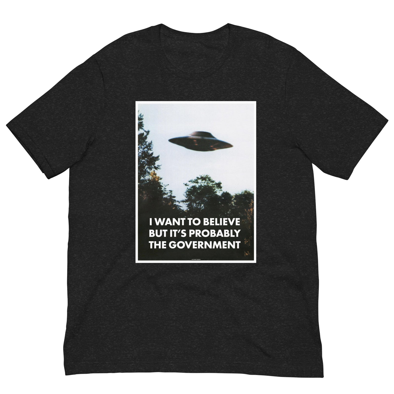I Want To Believe But It's Probably the Government T-Shirt