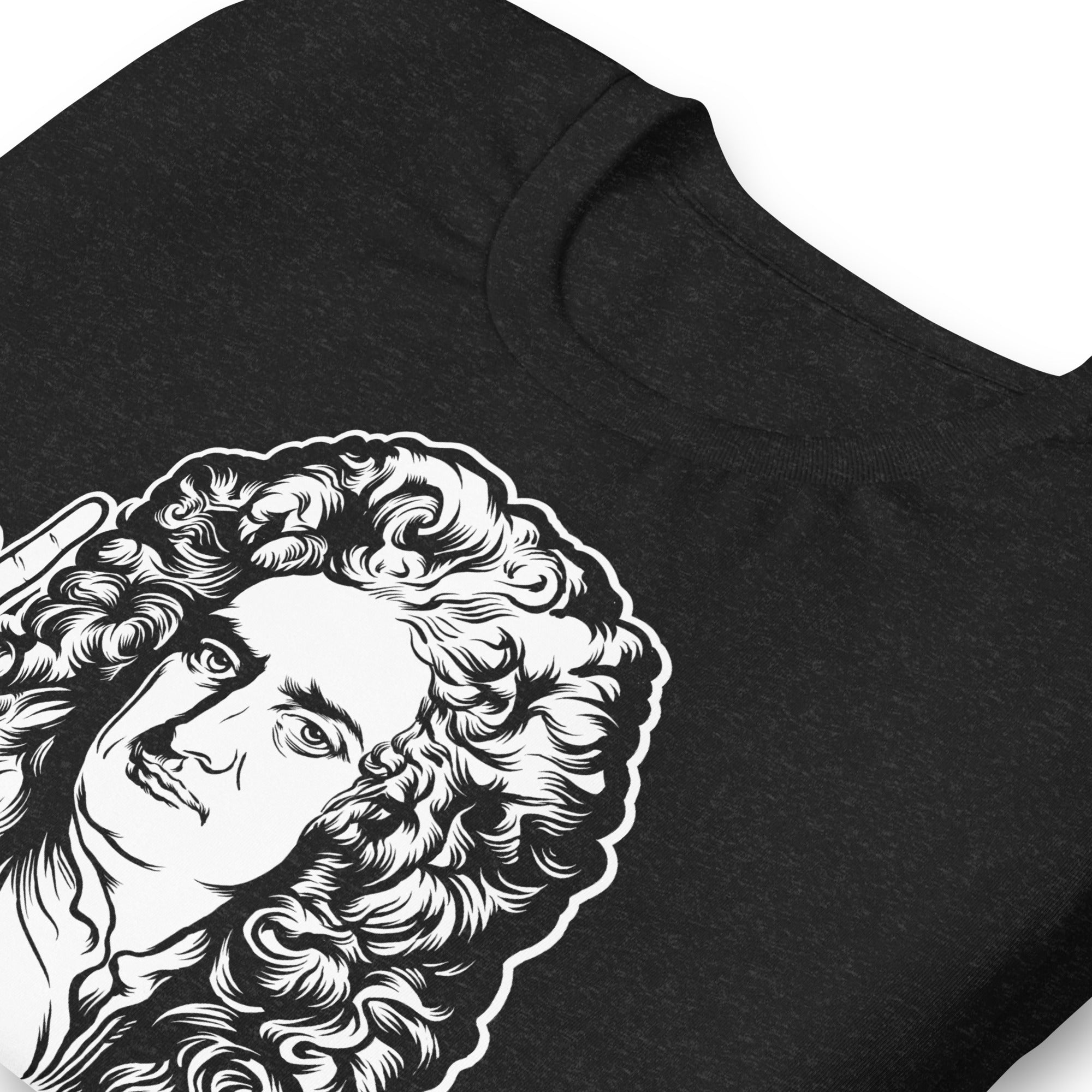 Sir Isaac Newton Science Rocks T-Shirt