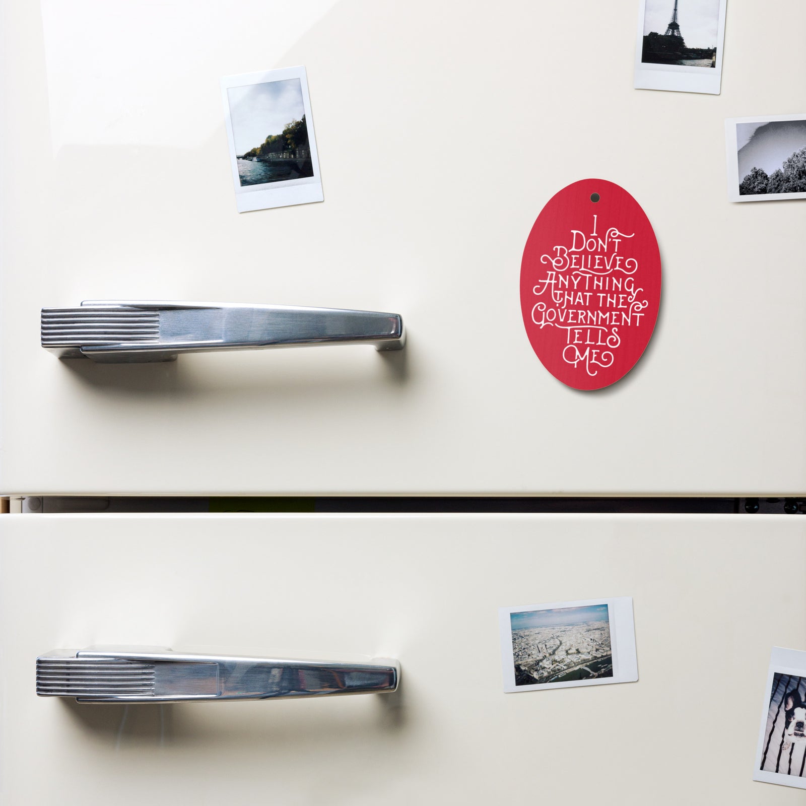 I Don't Believe Anything the Government Tells Me Wooden Magnet Ornaments