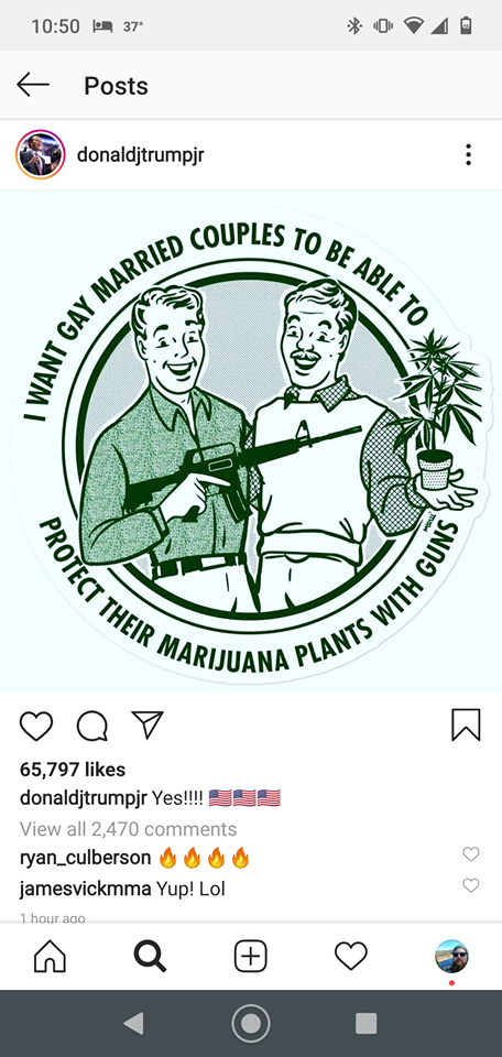 I Want Gay Married Couples To Be Able To Protect Their Marijuana Plants With Guns Die Cut Sticker