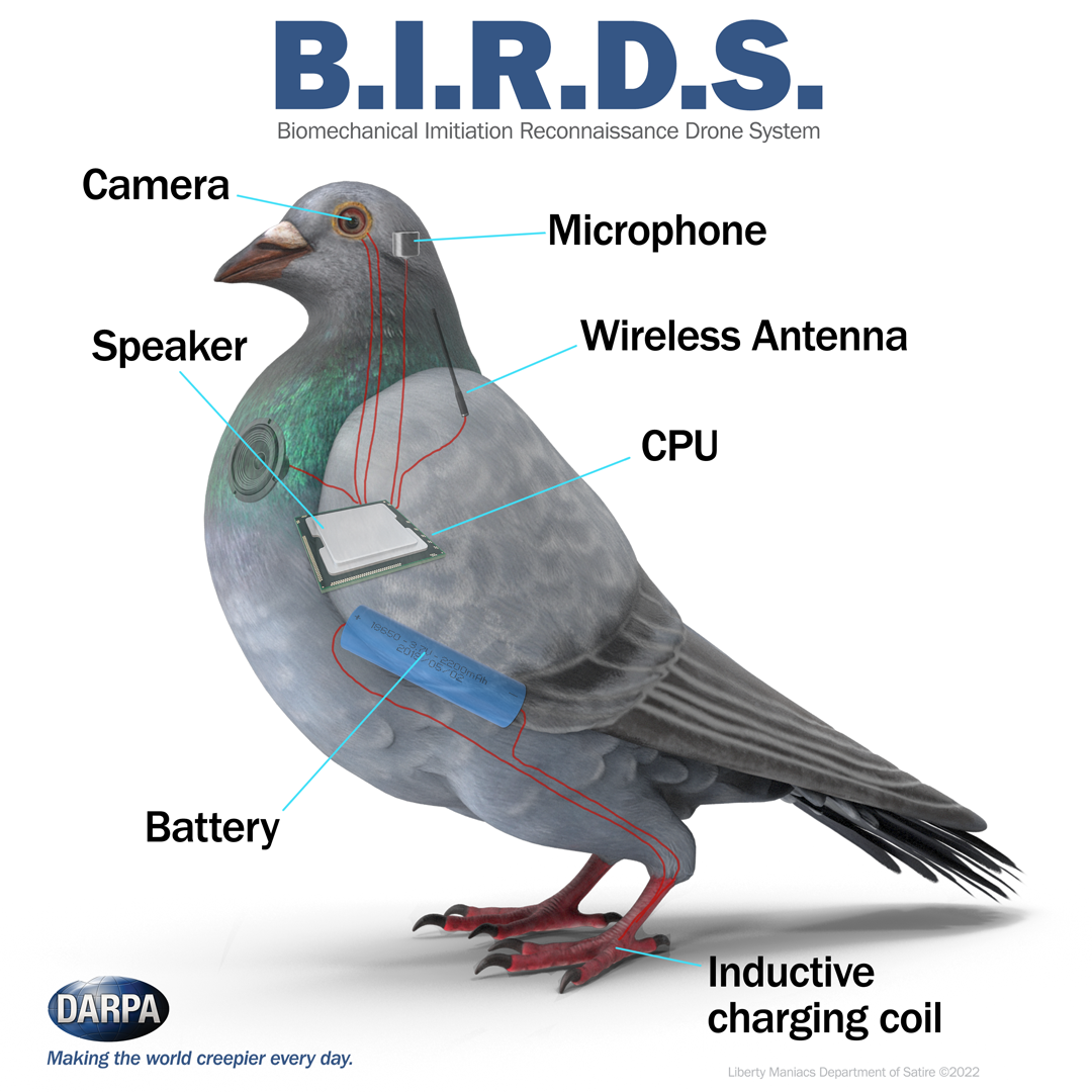 BIRDS Aren't Real Schematics Coffee Mug