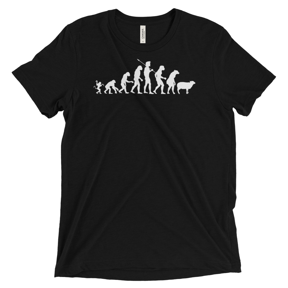 Modern Evolution Triblend Short Sleeve T-Shirt