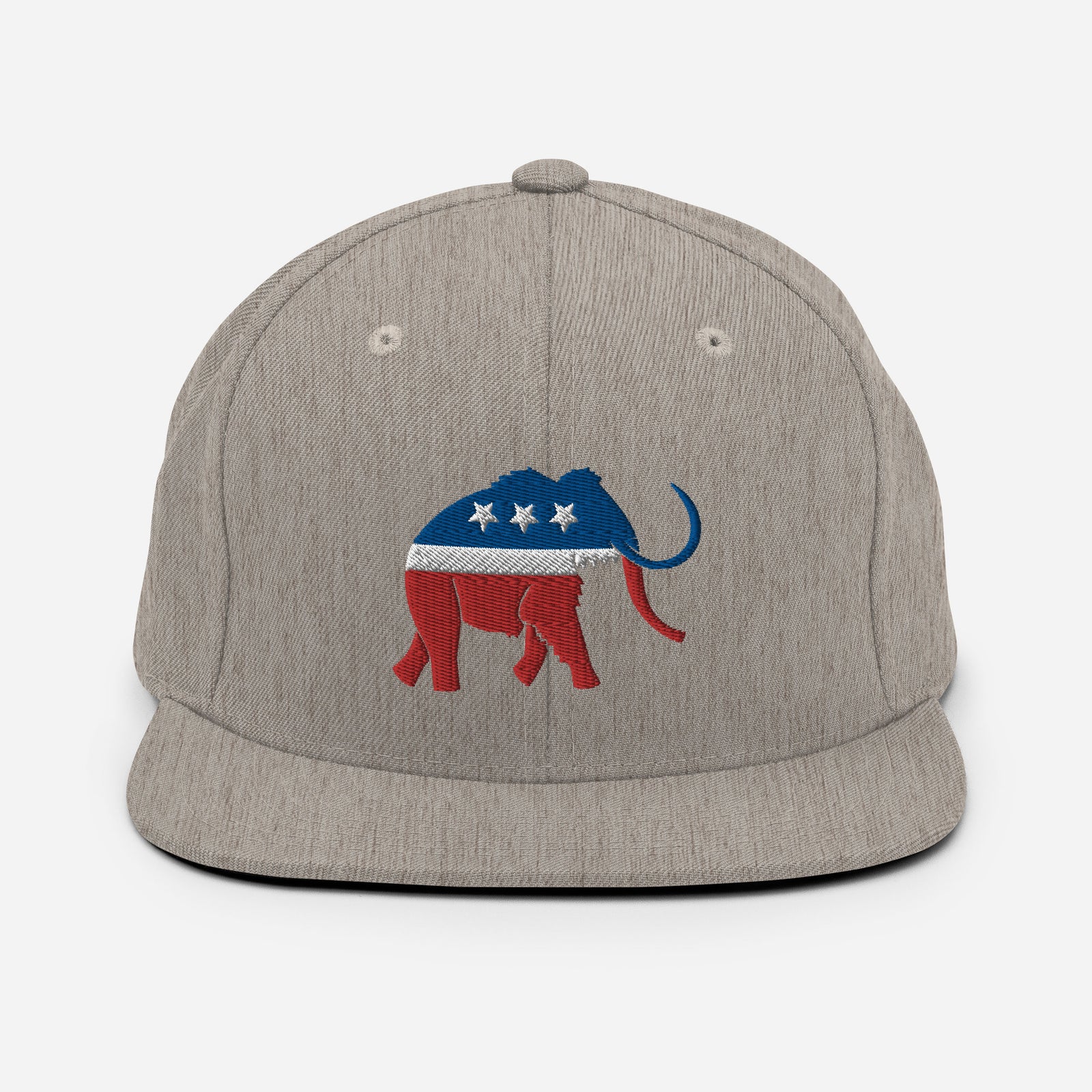 Paleoconservative Snapback Hat