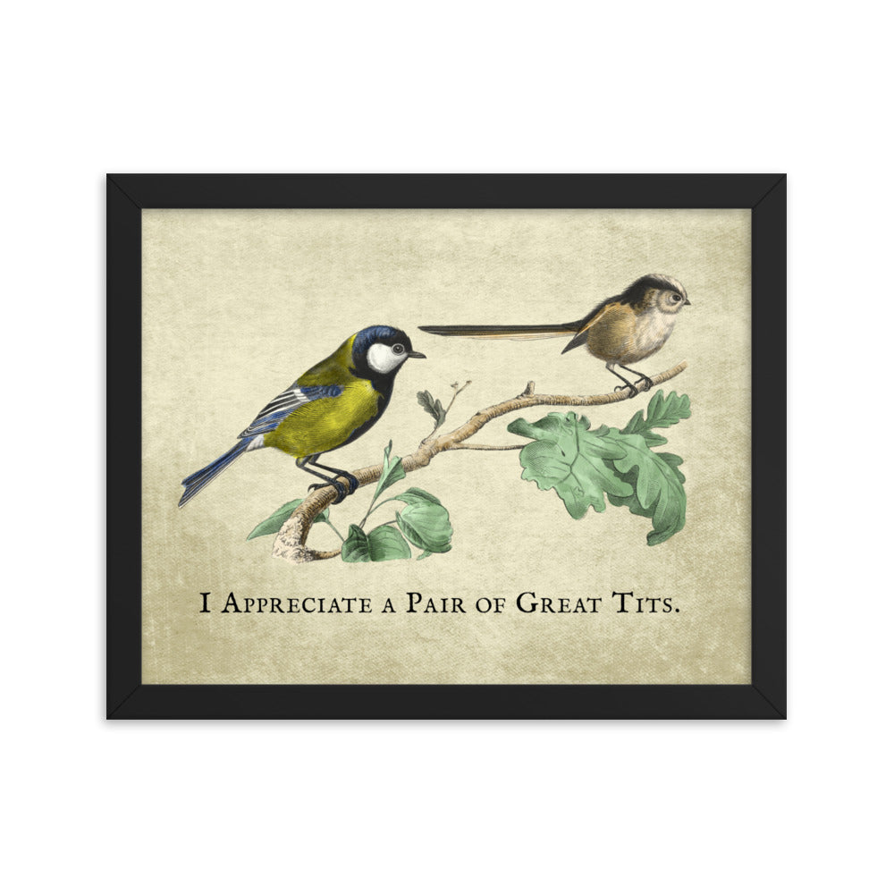 Great Pair of Tits Framed Print
