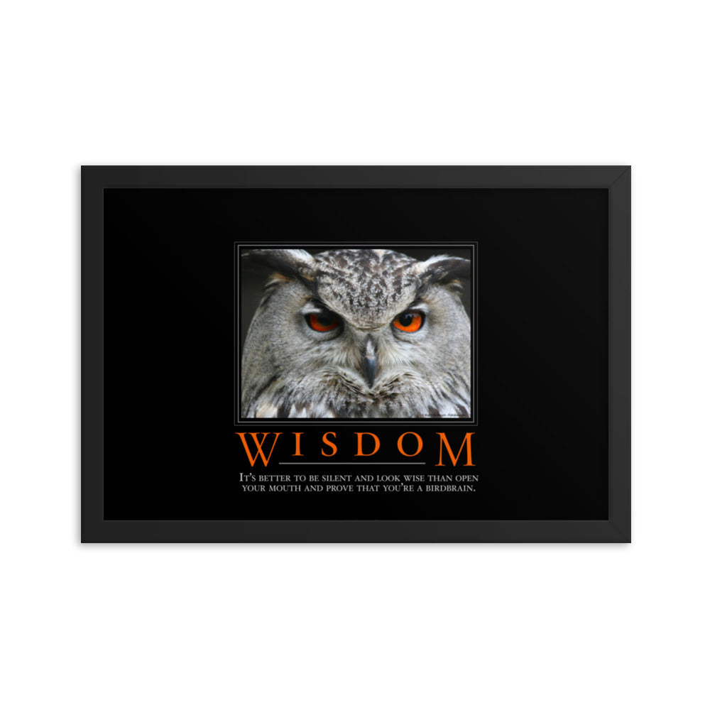 Wisdom Demotivational Framed Print
