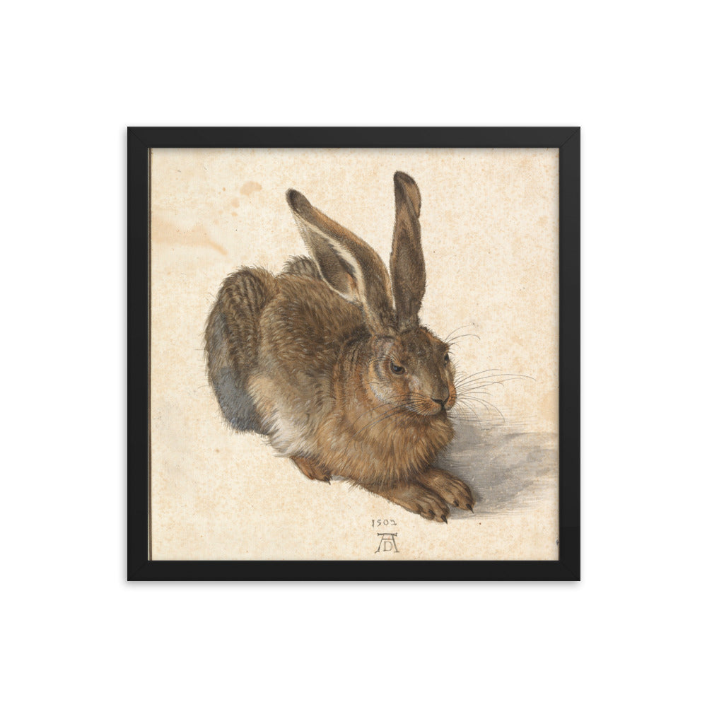 A Young Hare by Albrecht Durer Framed Print