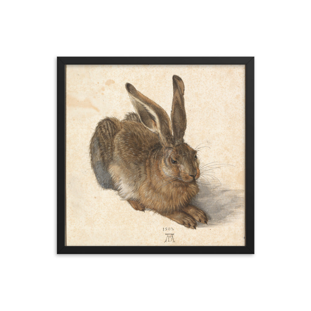 A Young Hare by Albrecht Durer Framed Print