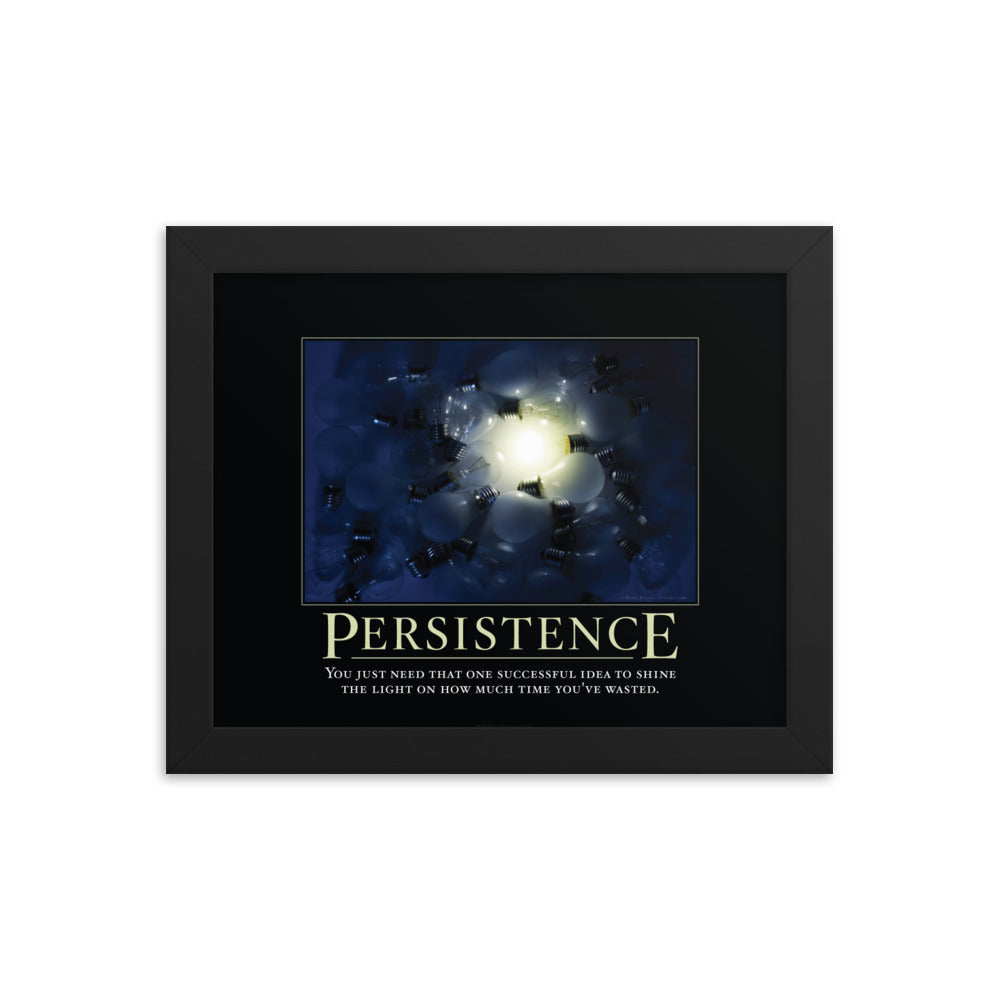Persistence Demotivational Framed Print