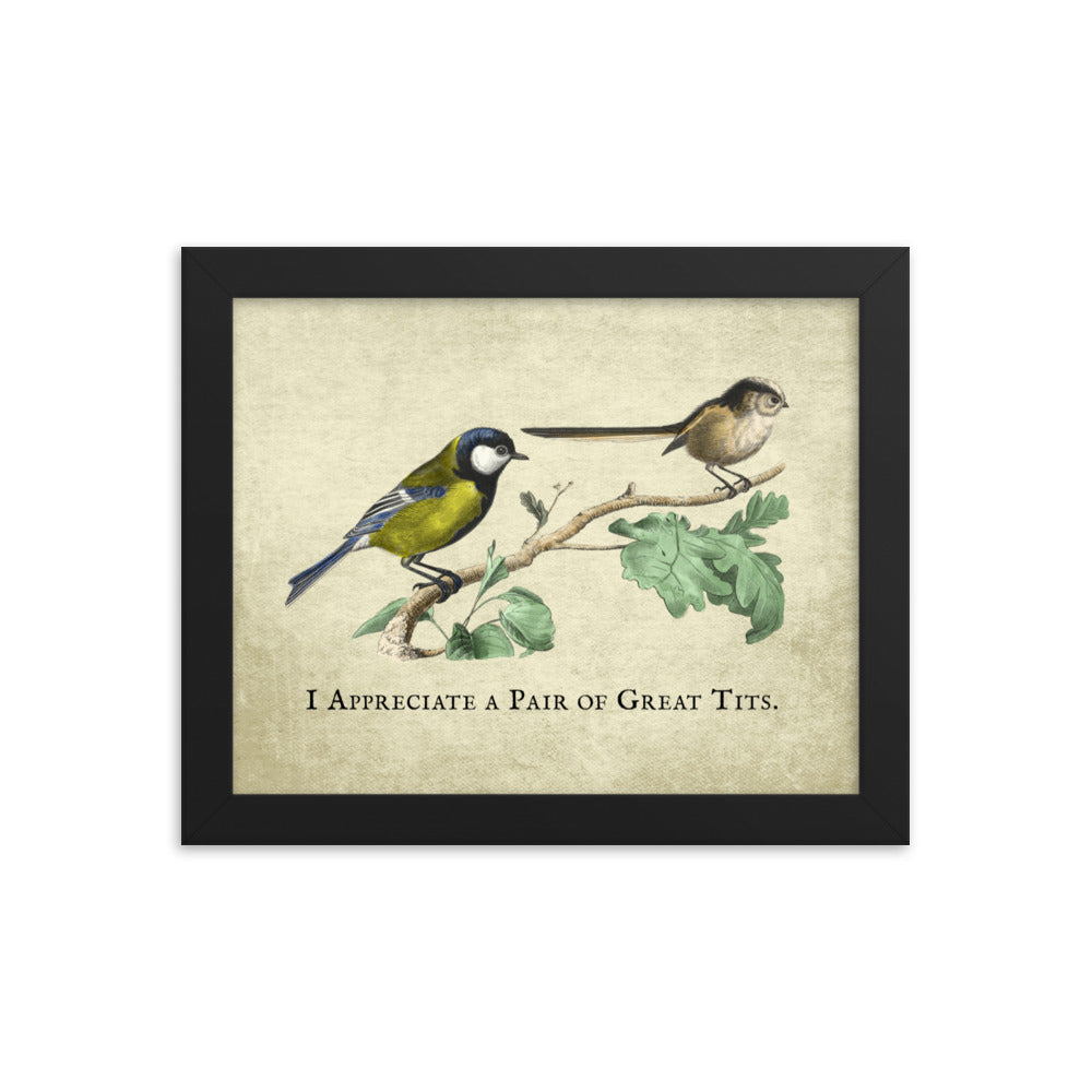 Great Pair of Tits Framed Print