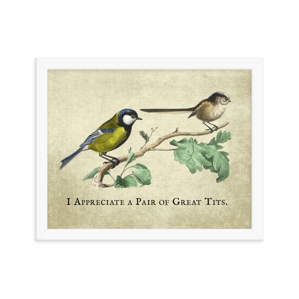 Great Pair of Tits Framed Print