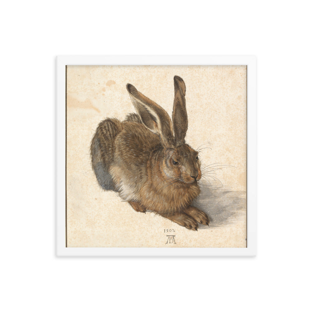 A Young Hare by Albrecht Durer Framed Print
