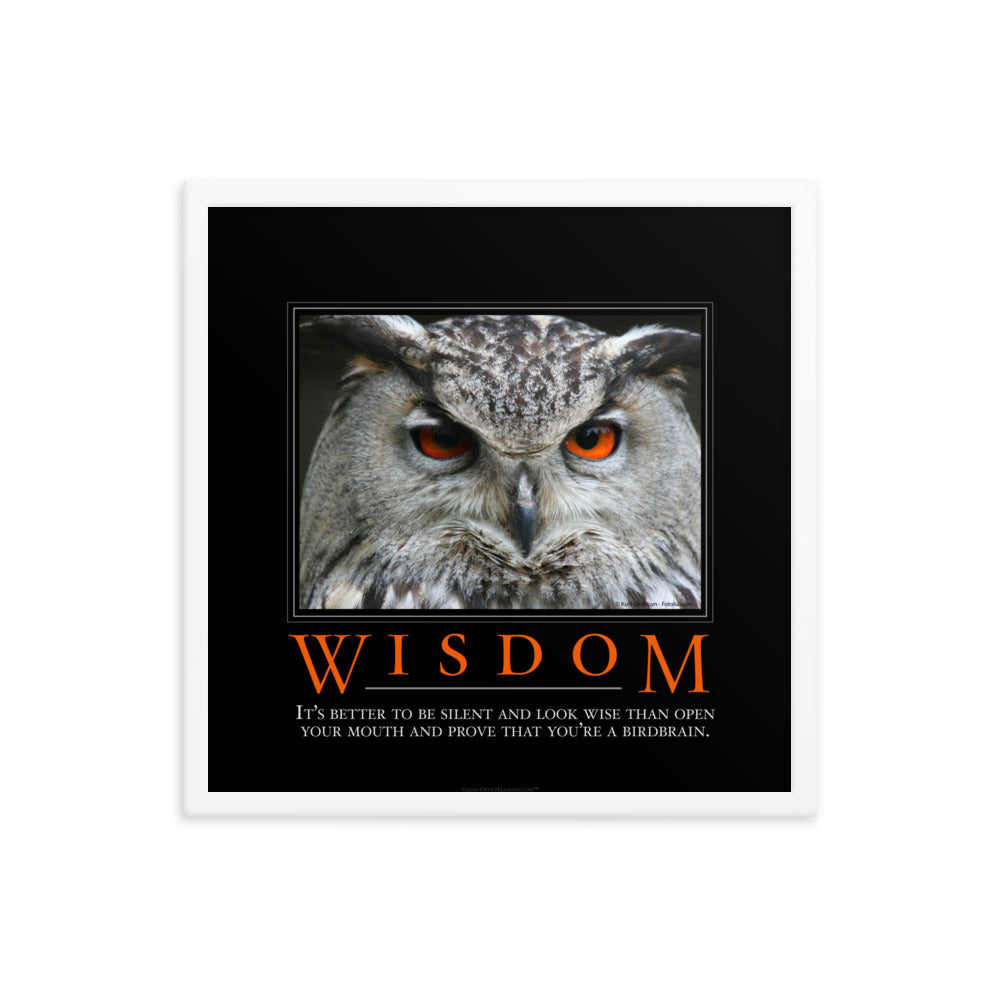 Wisdom Demotivational Framed Print