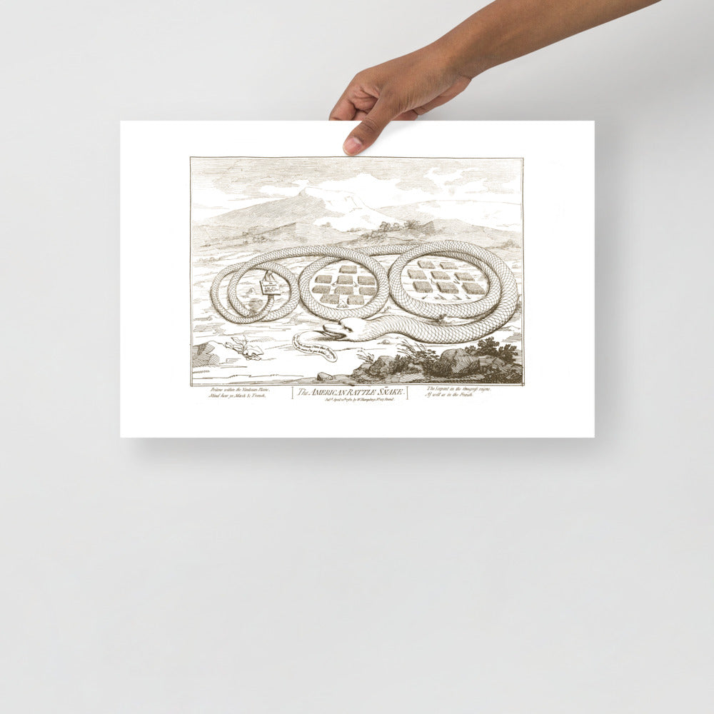 The American Rattle Snake Poster Giclée Print