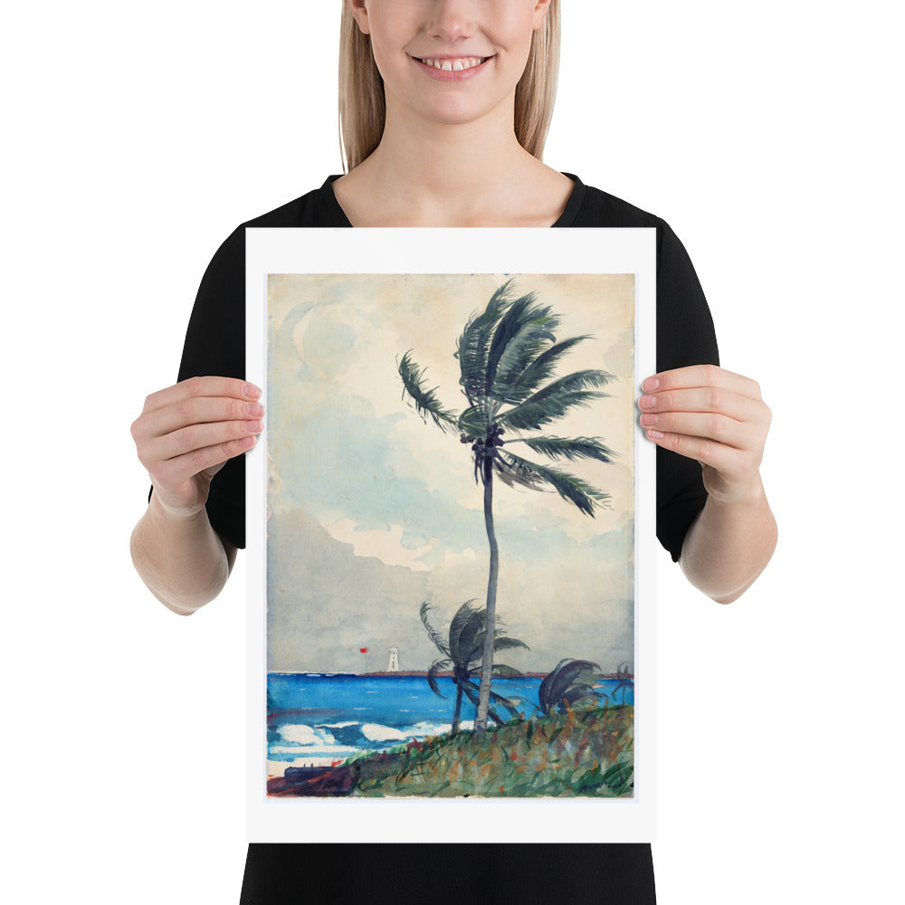Palm Tree in Nassau Winslow Homer Art Print