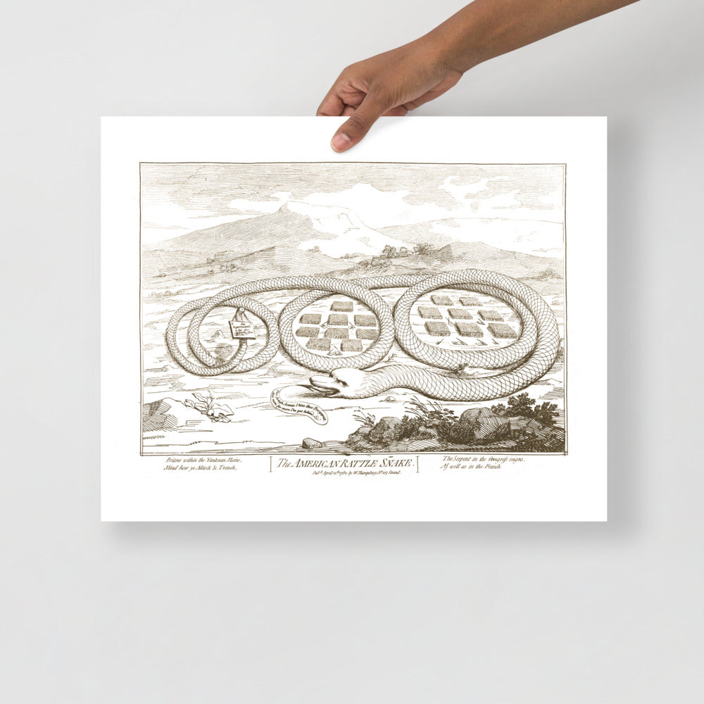 The American Rattle Snake Poster Giclée Print