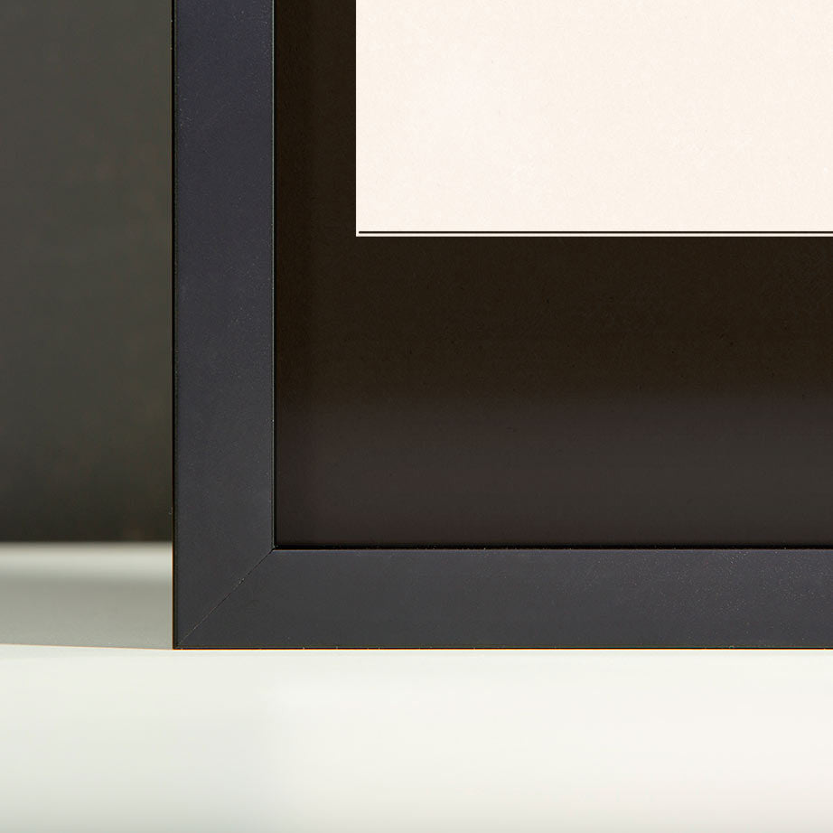 Donald Trump Glaser Redux Print Frame View