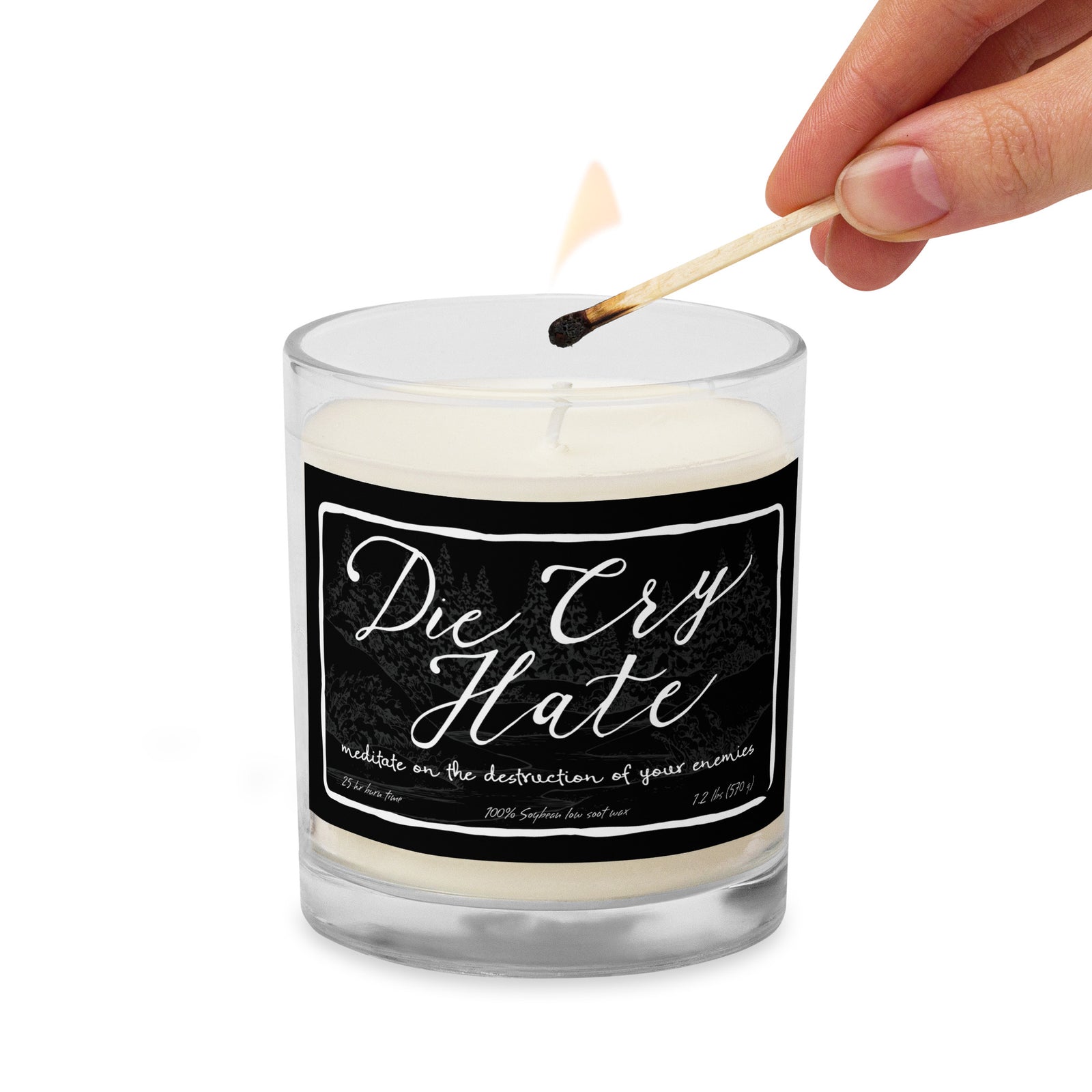 Anti-Live Laugh Love Glass Jar Candle