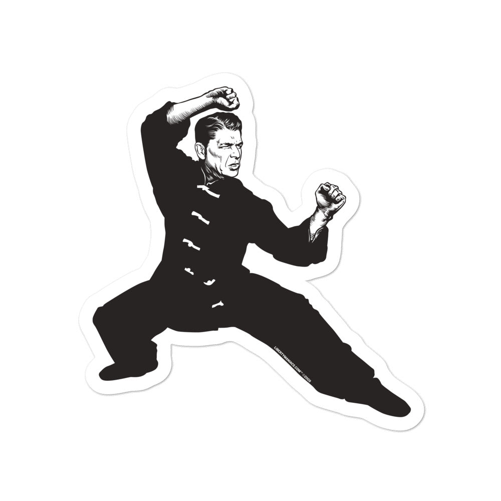 Ronald Reagan Kung Fu