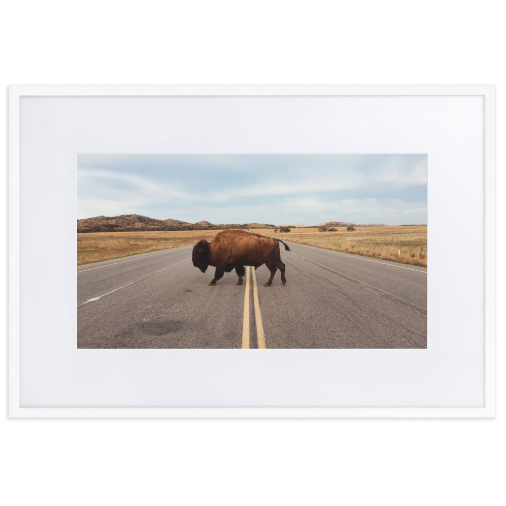 Bison Crossing Framed Art Print With Mat