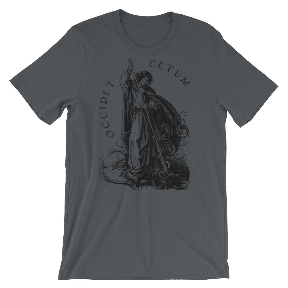 Slay Thy Dragon St George Graphic T-Shirt