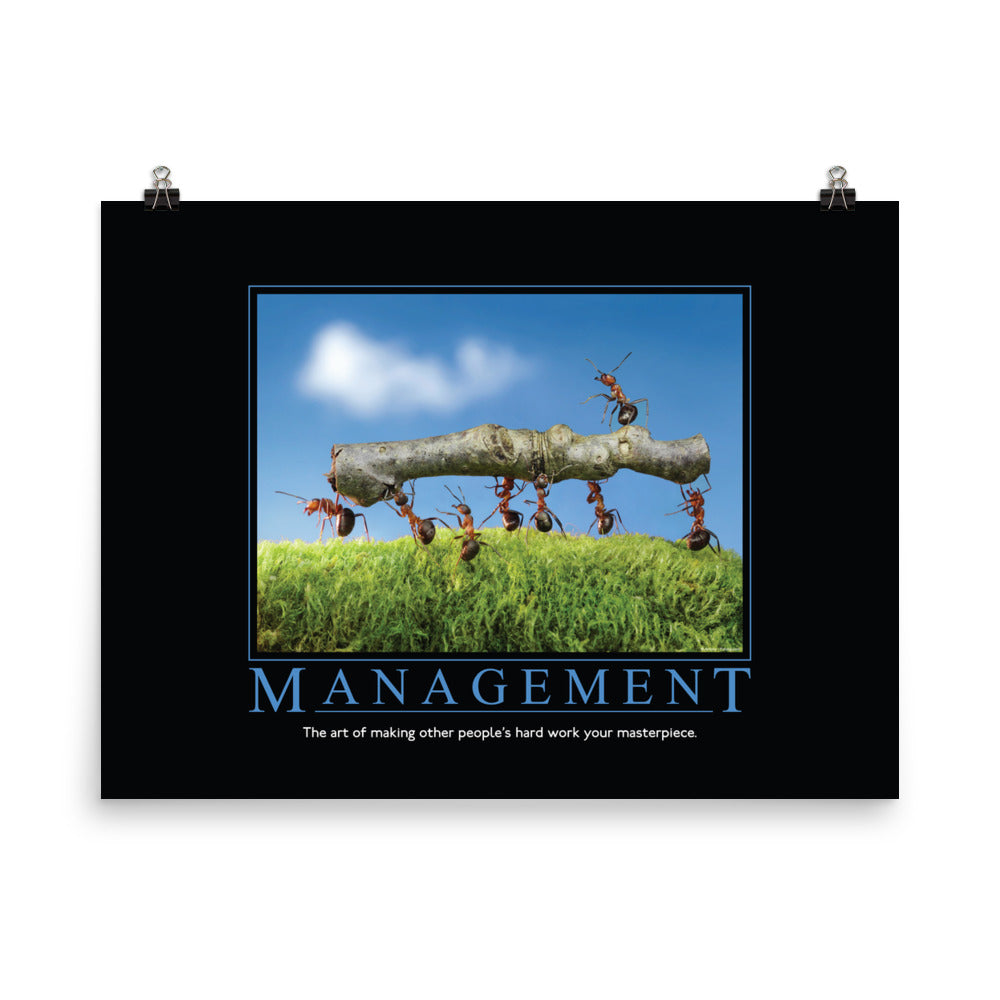 Management Demotivational Poster