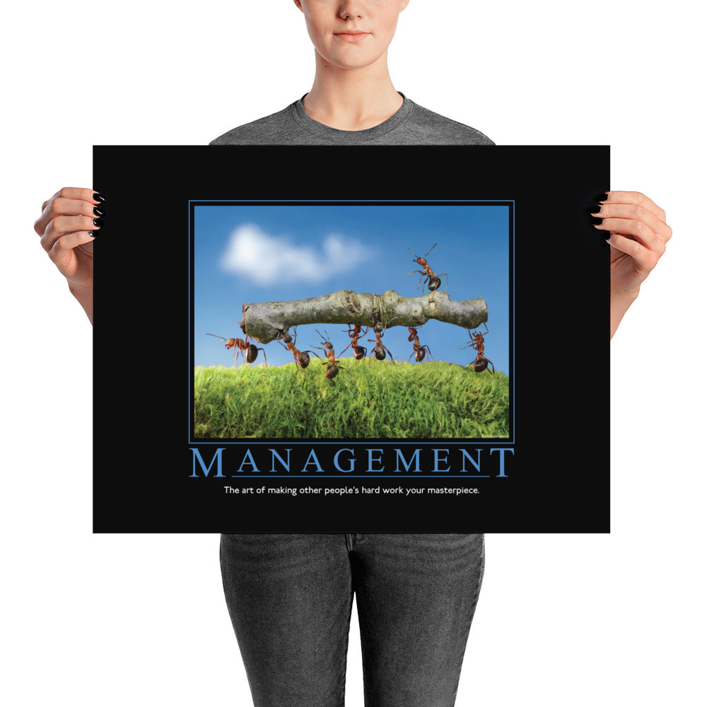 Management Demotivational Poster