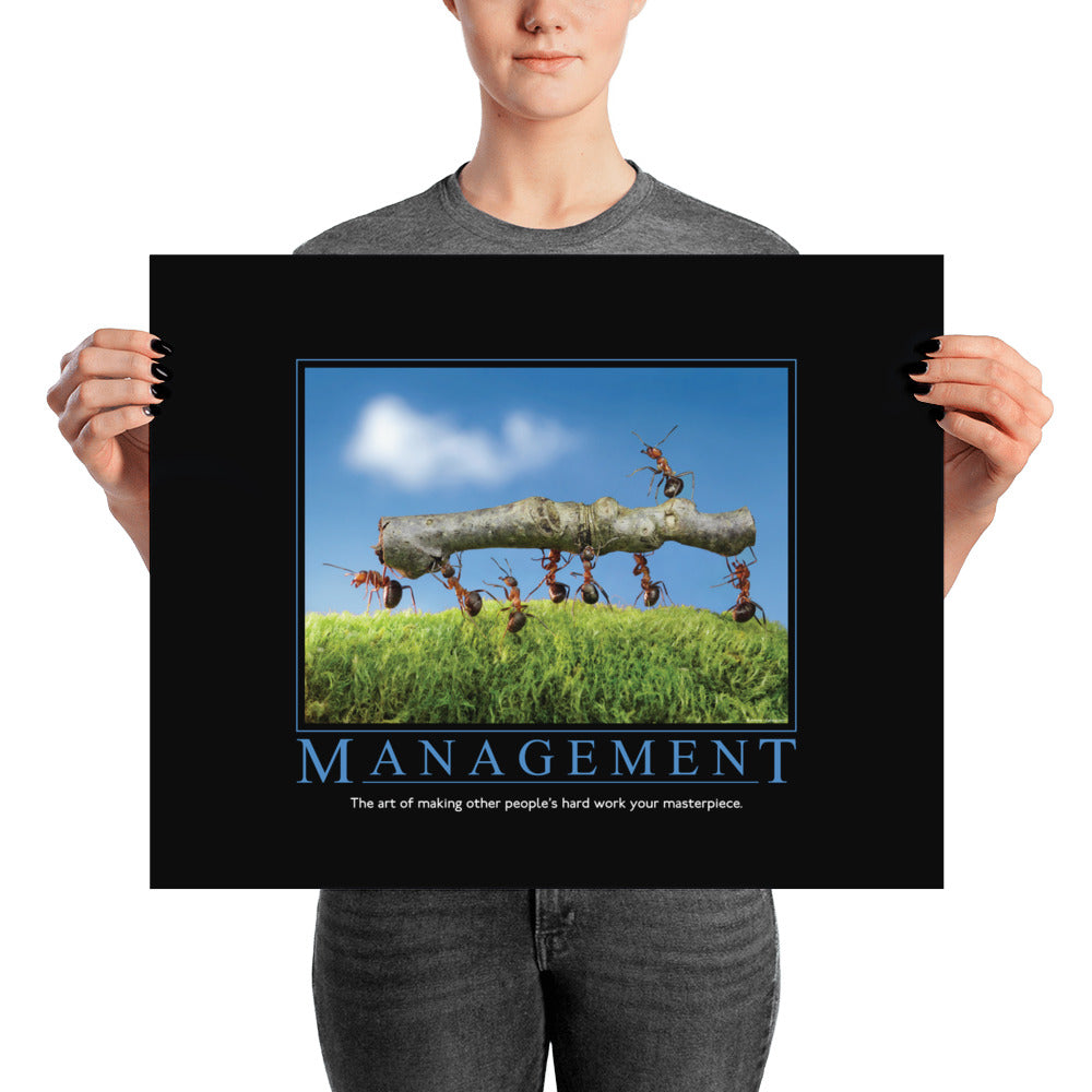 Management Demotivational Poster
