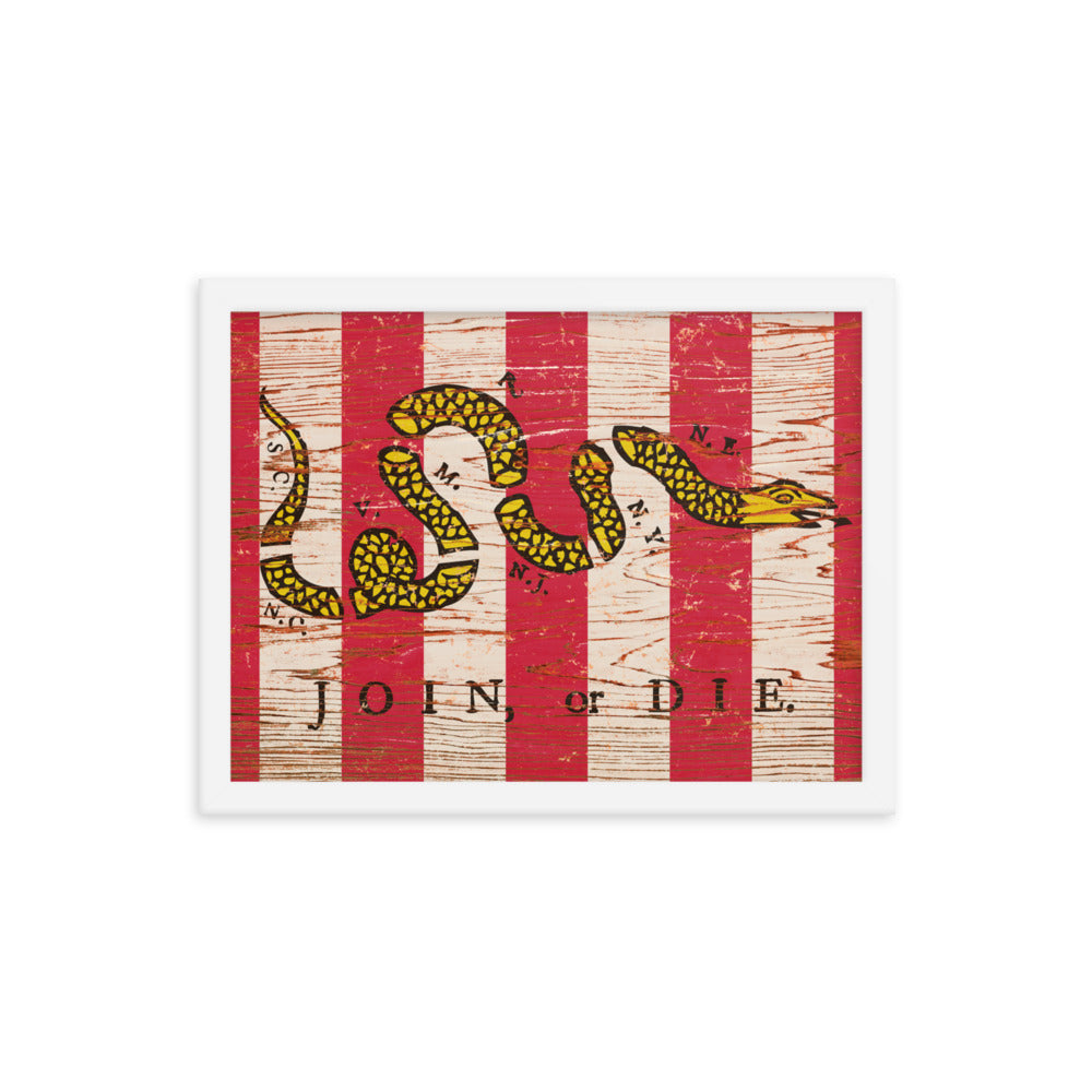 Join Or Die Sons of Liberty Framed poster
