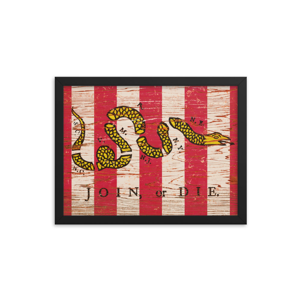 Join Or Die Sons of Liberty Framed poster