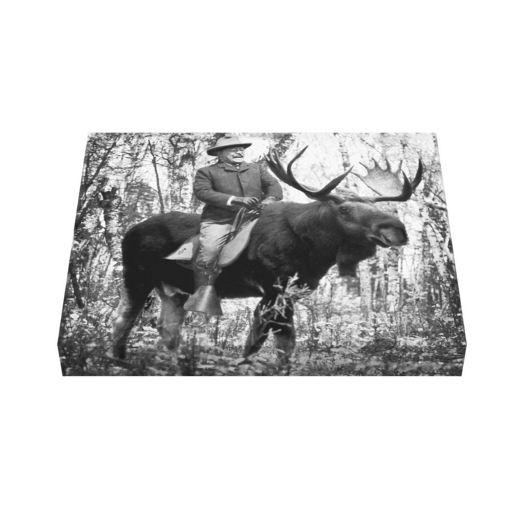 Teddy Roosevelt Riding a Bullmoose Canvas