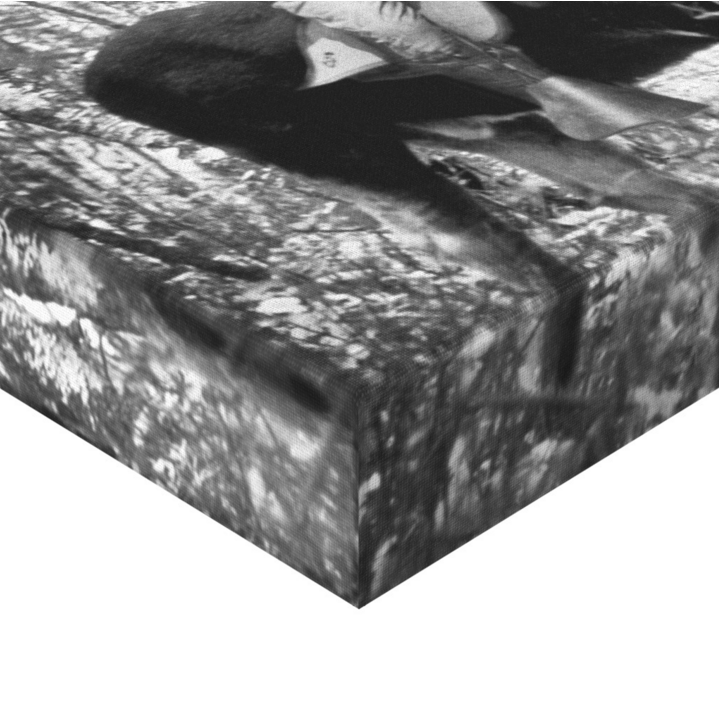 Teddy Roosevelt Riding a Bullmoose Canvas