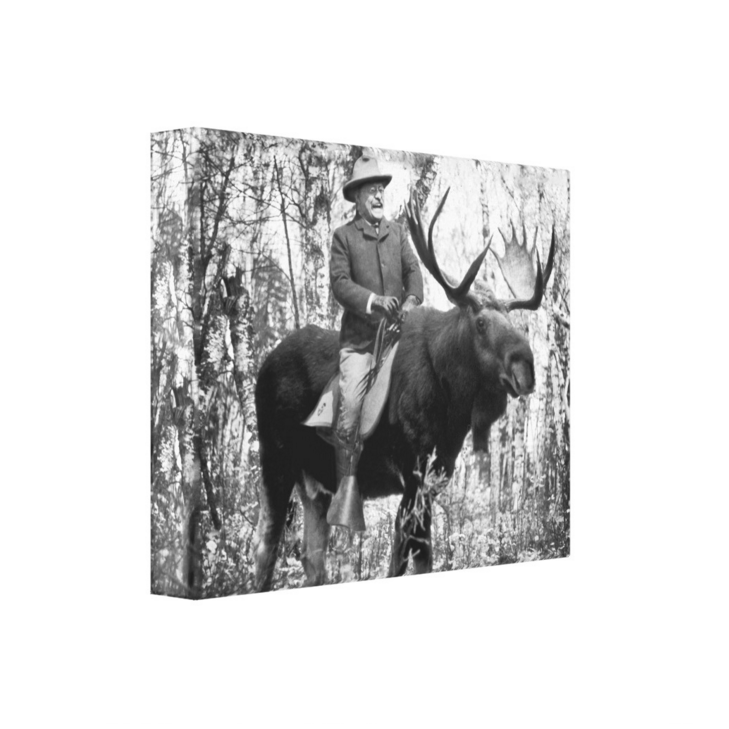 Teddy Roosevelt Riding a Bullmoose Canvas
