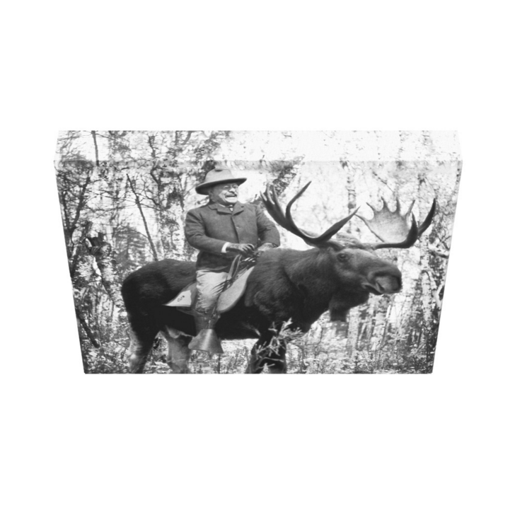 Teddy Roosevelt Riding a Bullmoose Canvas