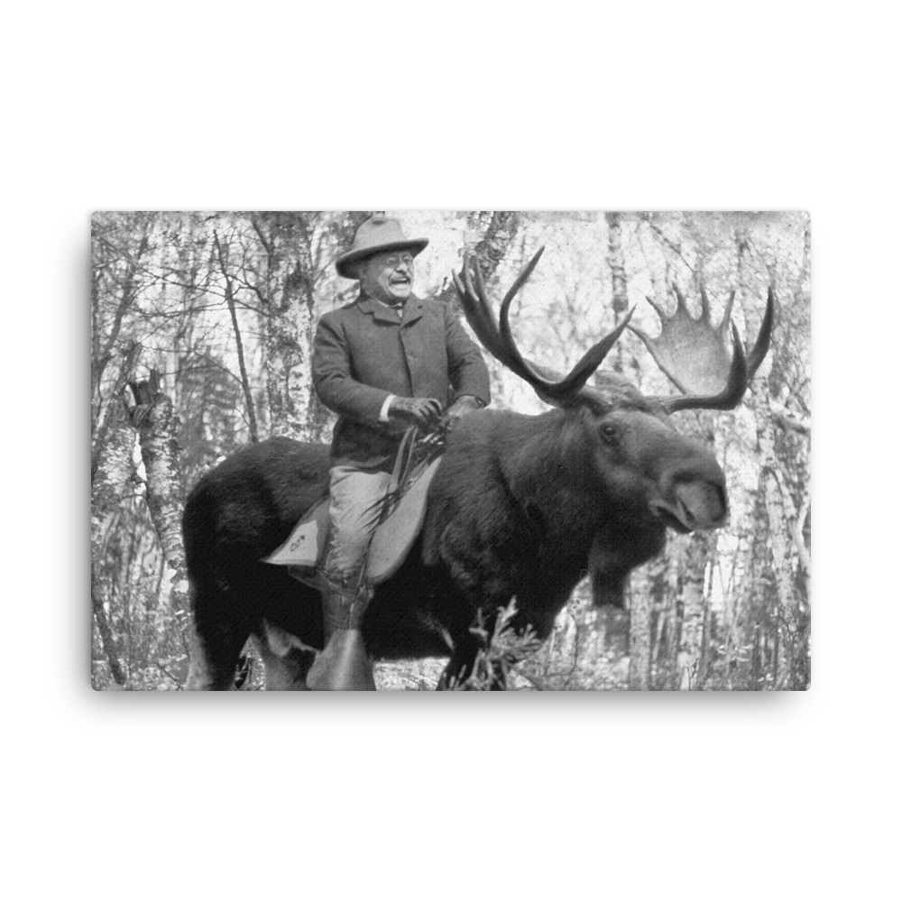 Teddy Roosevelt Riding a Bullmoose Canvas