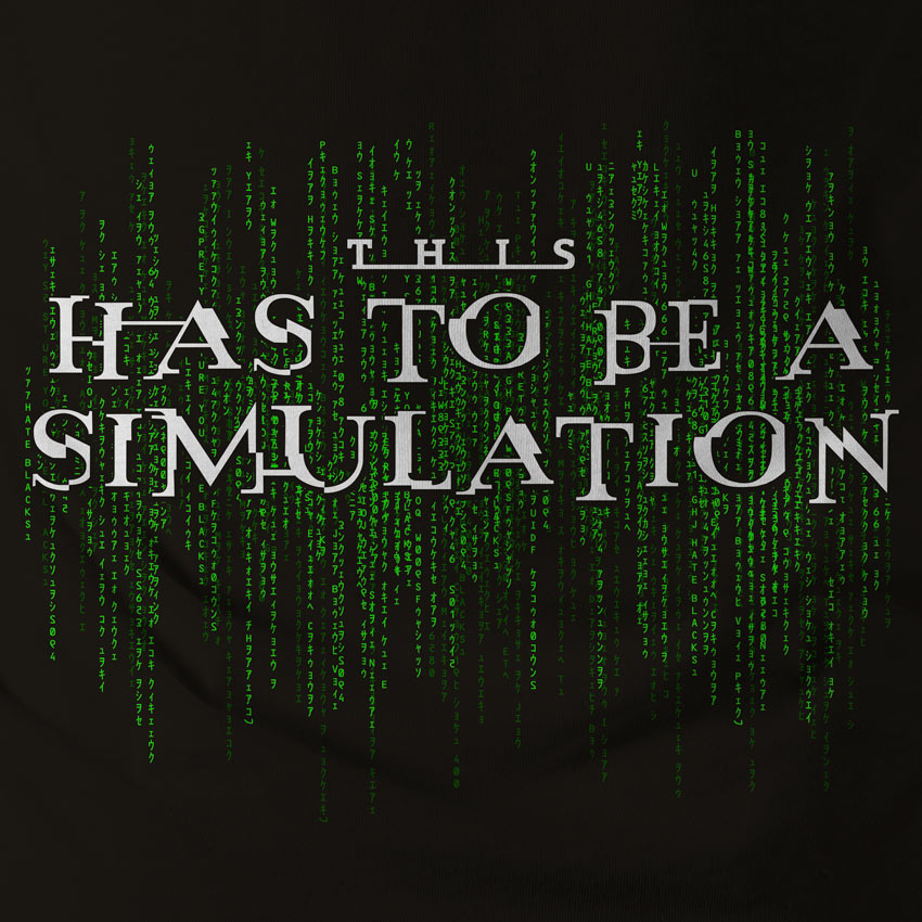 This Has To Be A Simulation Matrix Unisex Long Sleeve Tee